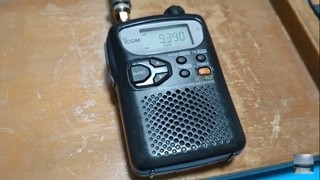 IC-R2.jpg